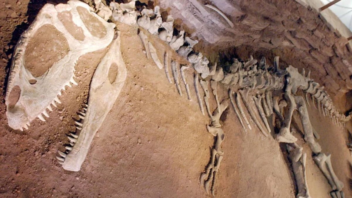 Hallan en México una nueva especie de dinosaurio