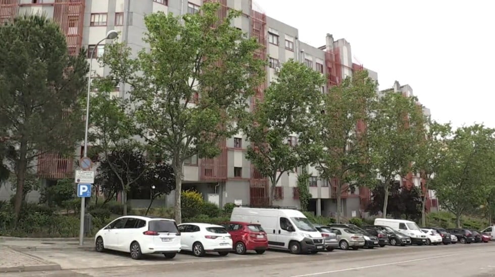Hallan en España el cadáver de una mujer que presuntamente fue devorado por sus gatos