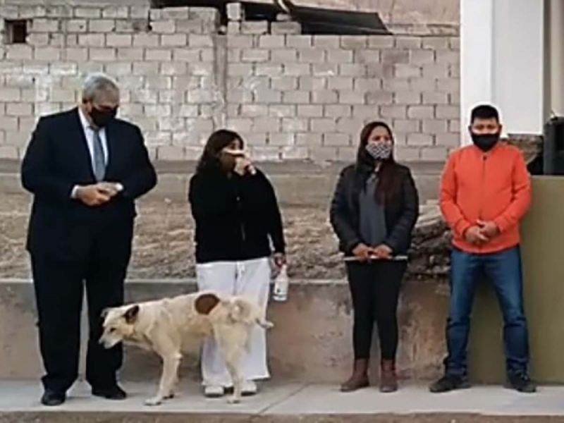 Perrito orina pierna de presidenta municipal en Argentina y se hace viral