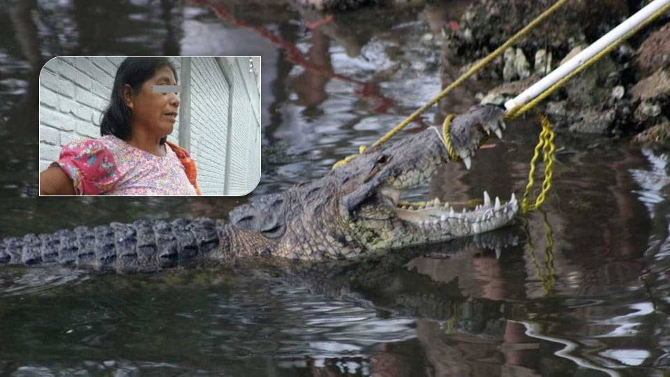 Ella era Alicia, víctima de cocodrilo en Laguna del Carpintero