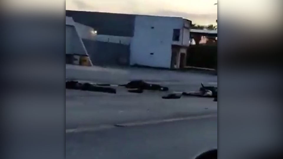 8 muertos tirados en la calle, deja enfrentamiento en Los Guerras de Miguel Alemán
