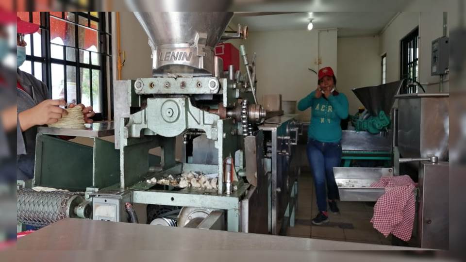 Confirman en la zona sur que el precio de la tortilla seguirá estable