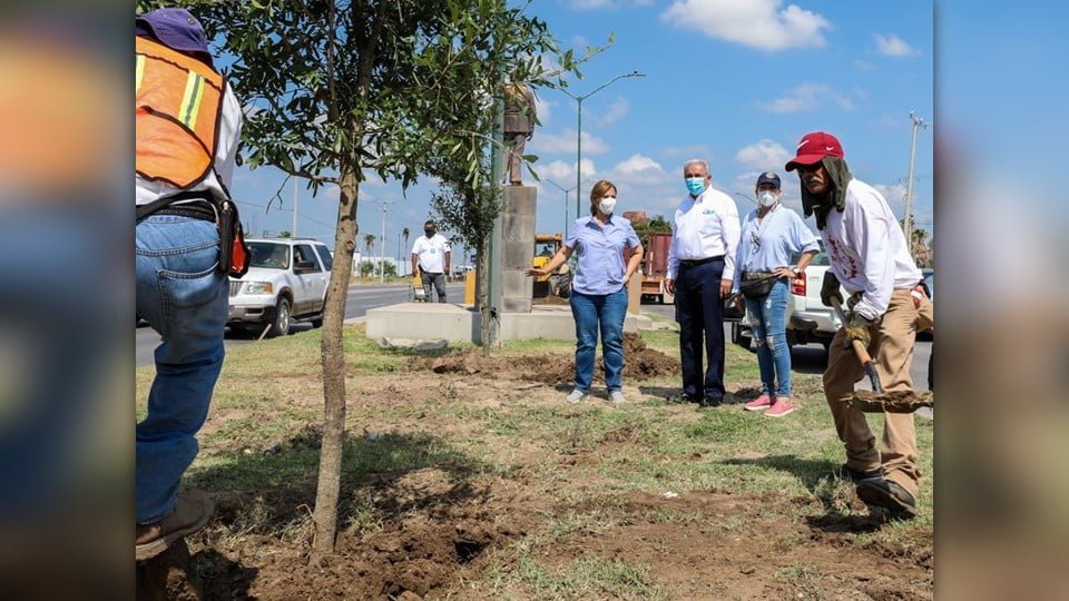 Arranca Sanmiguel reforestación de NLD en Calzada de los Héroes