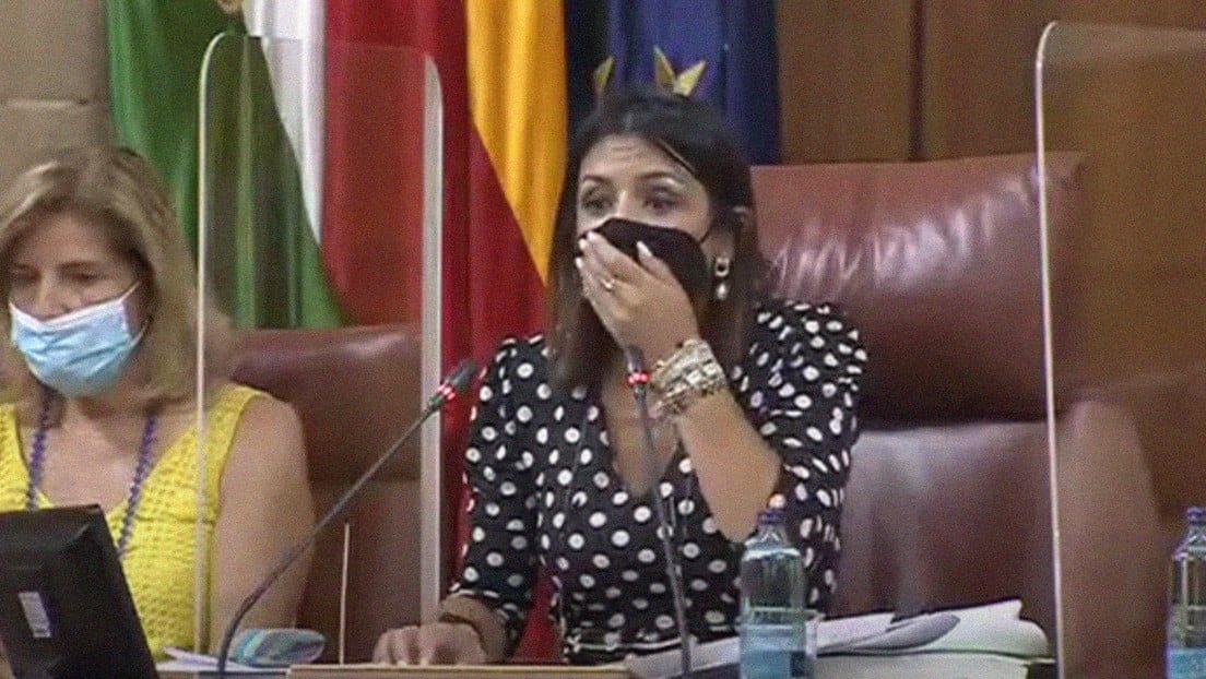 Rata se cuela a Parlamento en Andalucía, España y pone de pie a todos