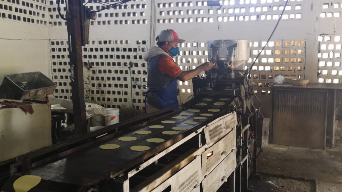 Contemplan otro aumento para la tortilla a partir de este primero de Julio