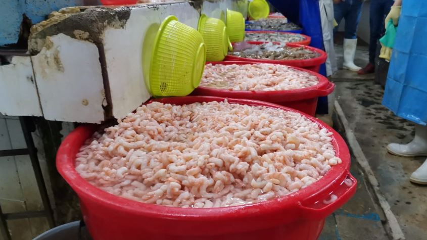 Tampico reporta ligero repunte en ventas de pescados y mariscos 