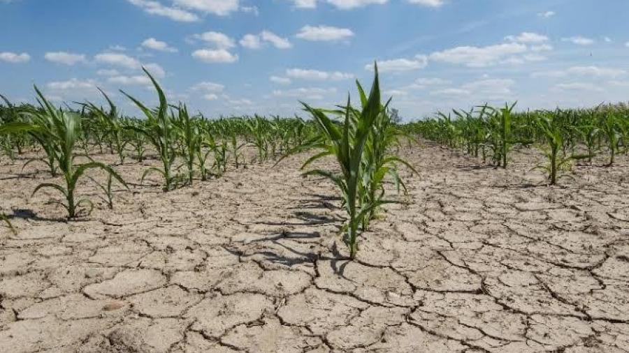 Pese a lluvias Altamira continua con grave crisis de sequía  