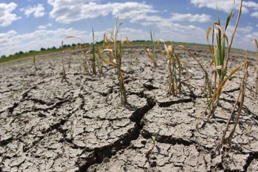 Recrudece sequía al norte de Veracruz; presas no recuperan agua
