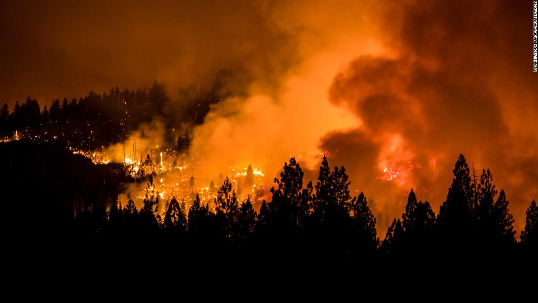 91 incendios forestales arrasan con más de 730 mil hectáreas en EUA