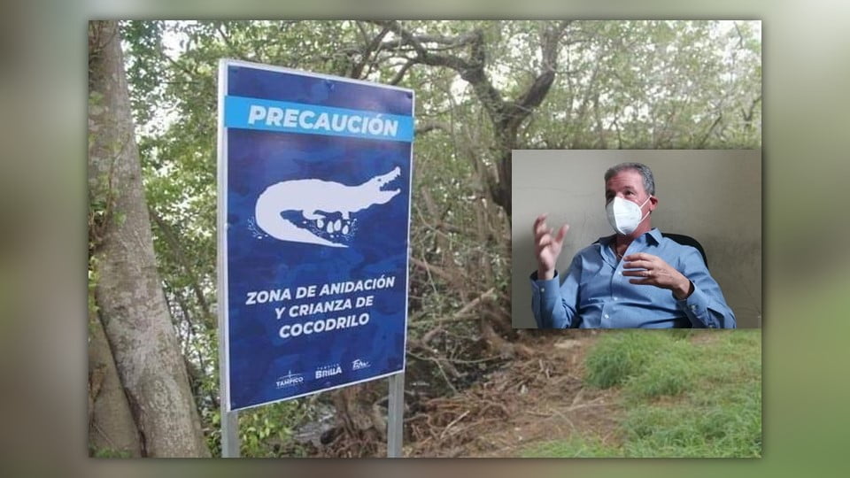Carece Tampico de reglamento para sancionar a quien alimente a los cocodrilos