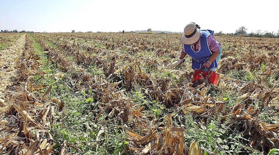 Presentan agricultores proyectos de riego para Nuevo Laredo y Guerrero