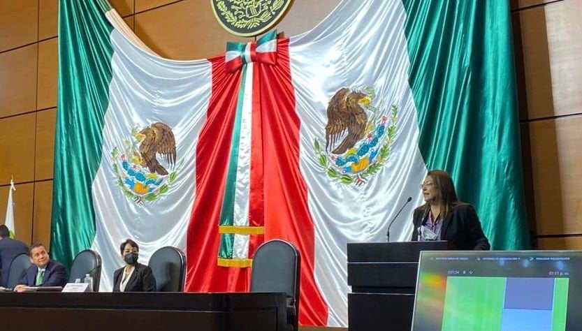 Inicia representación de Nuevo Laredo y Tamaulipas en San Lázaro con Ana Laura Huerta