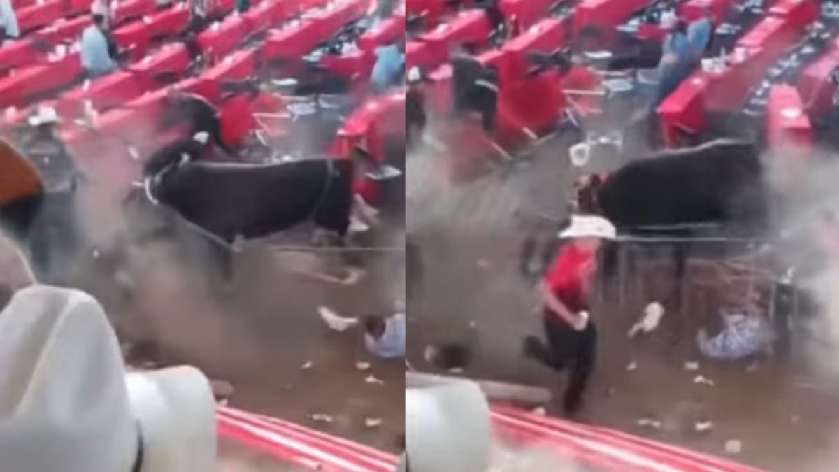 Toro deja 10 lesionados en jaripeo en Michoacán