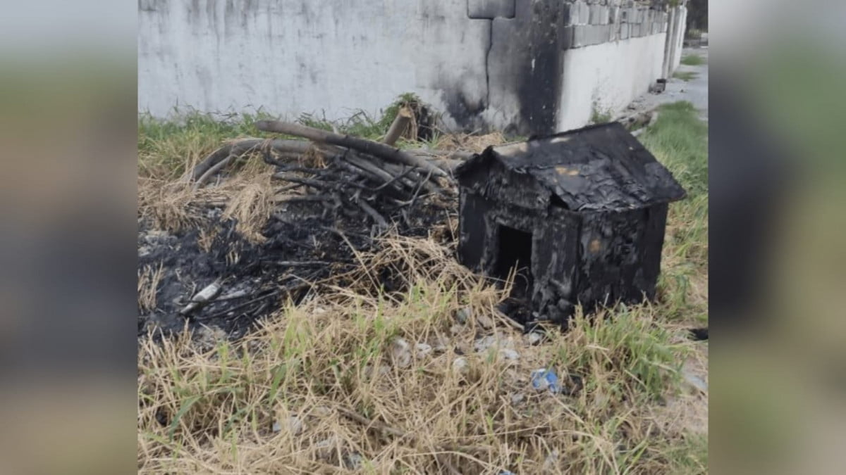 Indigna ataque de vándalos a mascotas; incendian casitas de perros en Río Bravo