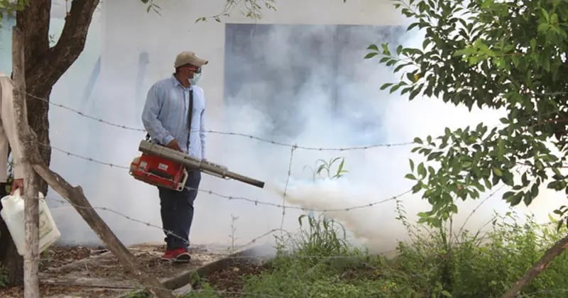 Conmemora Tamaulipas Día Internacional contra el Dengue con acciones de prevención
