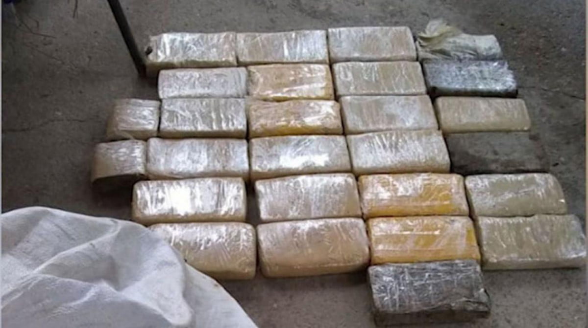 Aduanas y Protección Fronteriza decomisan cocaína en Puente Internacional Reynosa-Pharr