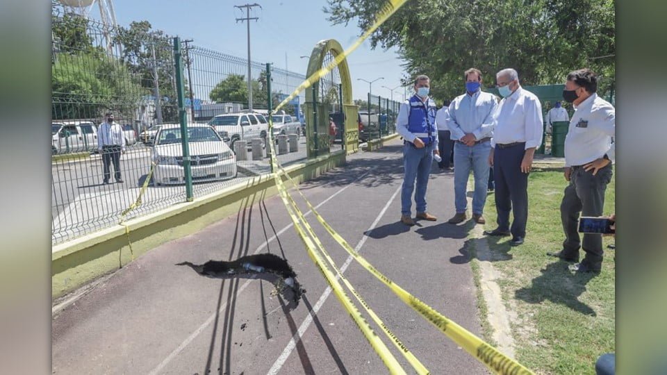Inician trabajos de reparación del Socavón en Parque de Nuevo Laredo