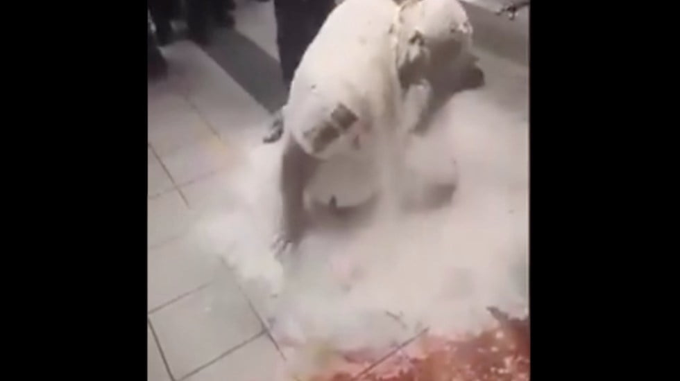Policías convierten en “hombre pizza” a compañero que celebraba su cumpleaños