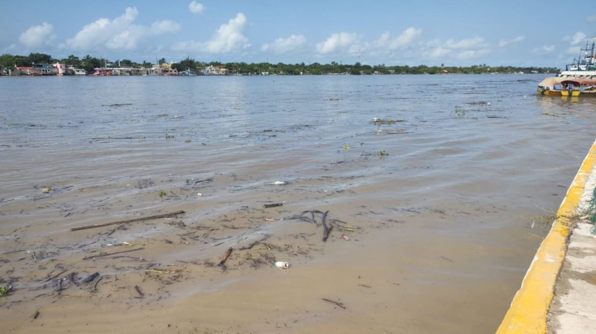 Río Pánuco, a dos metros de llegar a su nivel crítico 