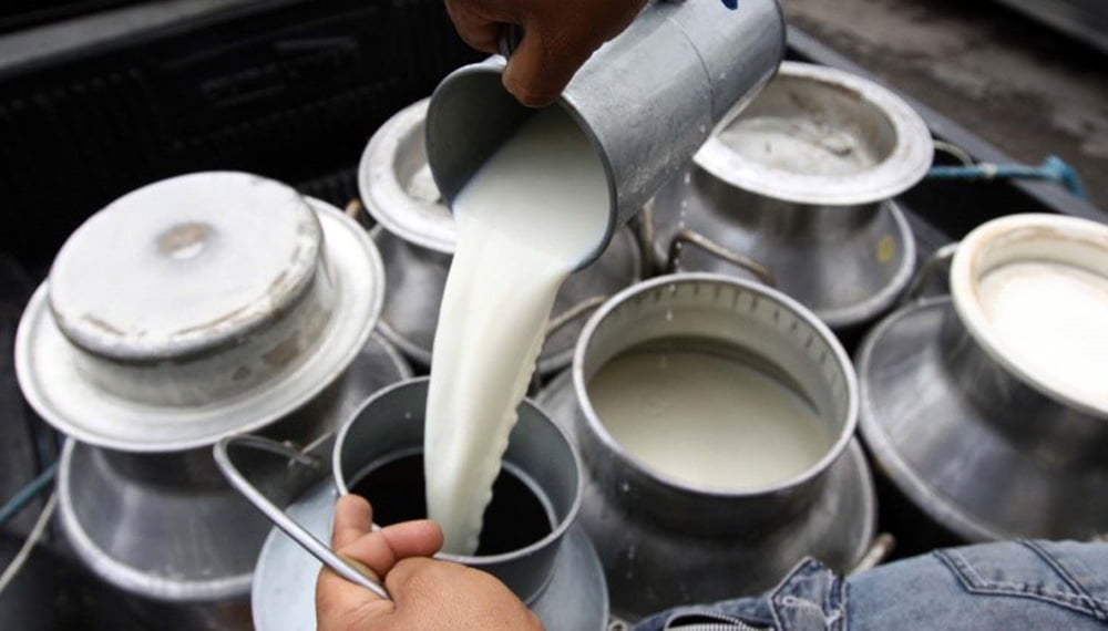 Precio de leche se ajustarán según la inflación; necesario incremento: productores