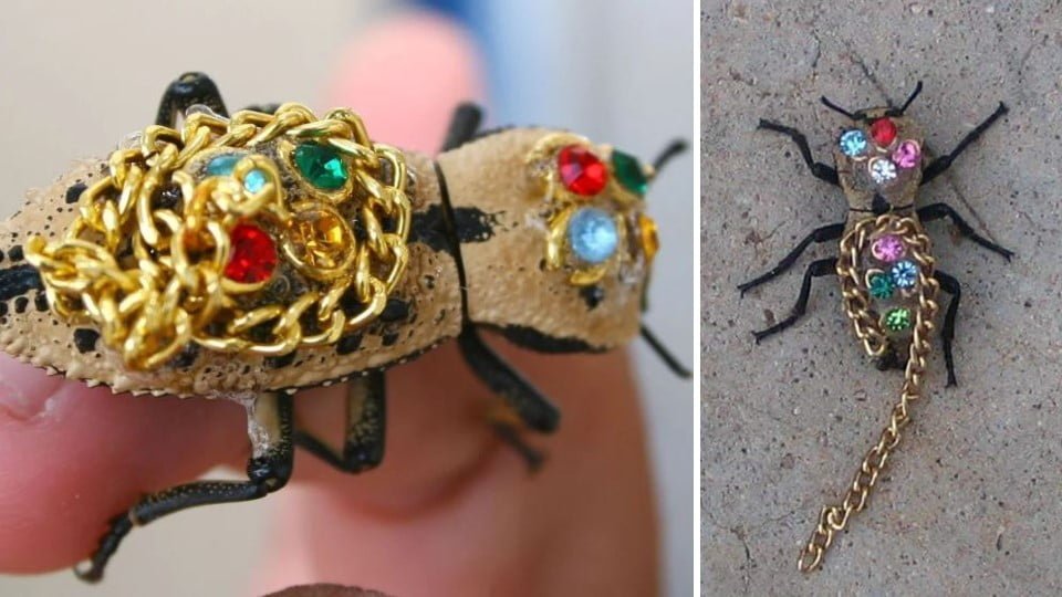 Maquech, la Joya viviente de Yucatán basada en una leyenda de amor