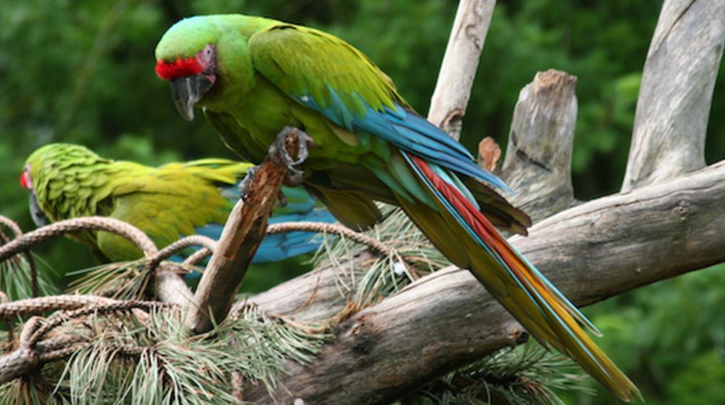 Esperan finalizar paradero de la Guacamaya en Jaumave para fin de año 