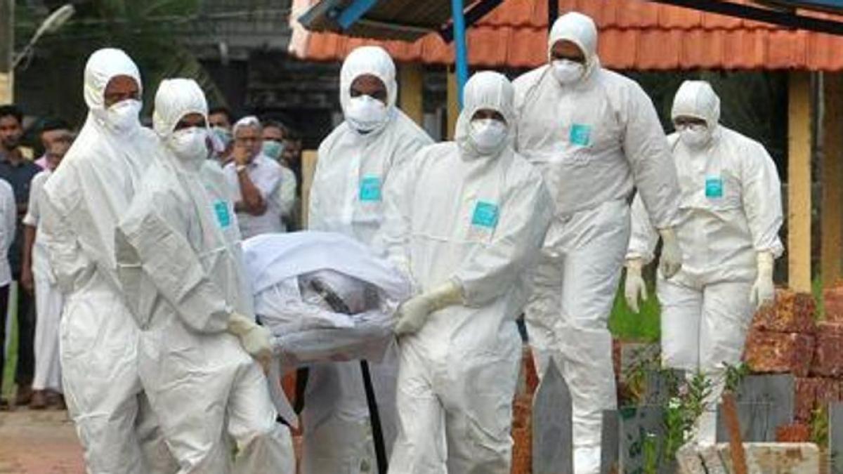 Virus Nipah podría causar la peor pandemia de la historia