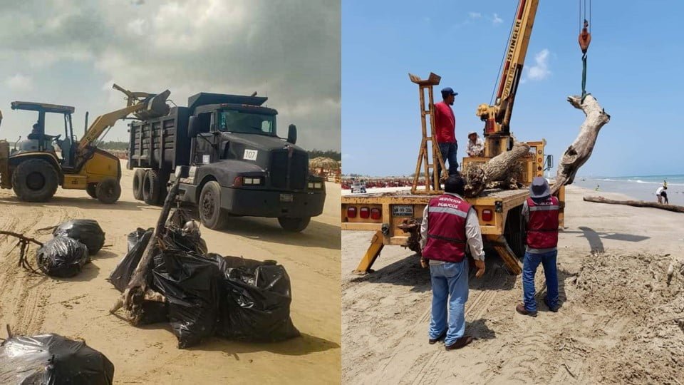 Más de 400 toneladas de palizada han retirado de Playa Miramar