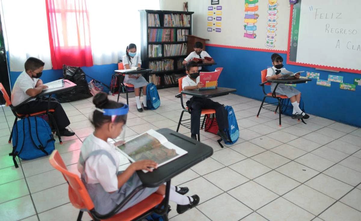 Estas escuelas podrían regresar a clases presenciales: Cd. Madero