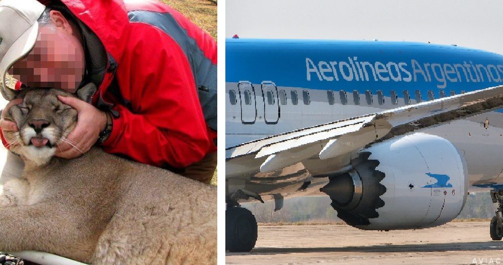 Aerolíneas Argentinas dejará de transportar «trofeos de caza»