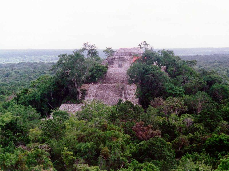 Deforestación amenaza la selva tropical