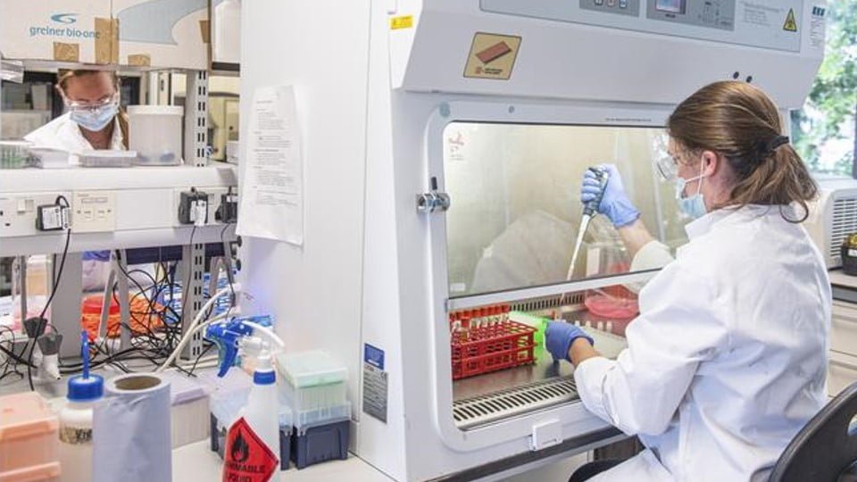 Nombra nuevo comité de expertos la OMS para investigar origen del COVID-19