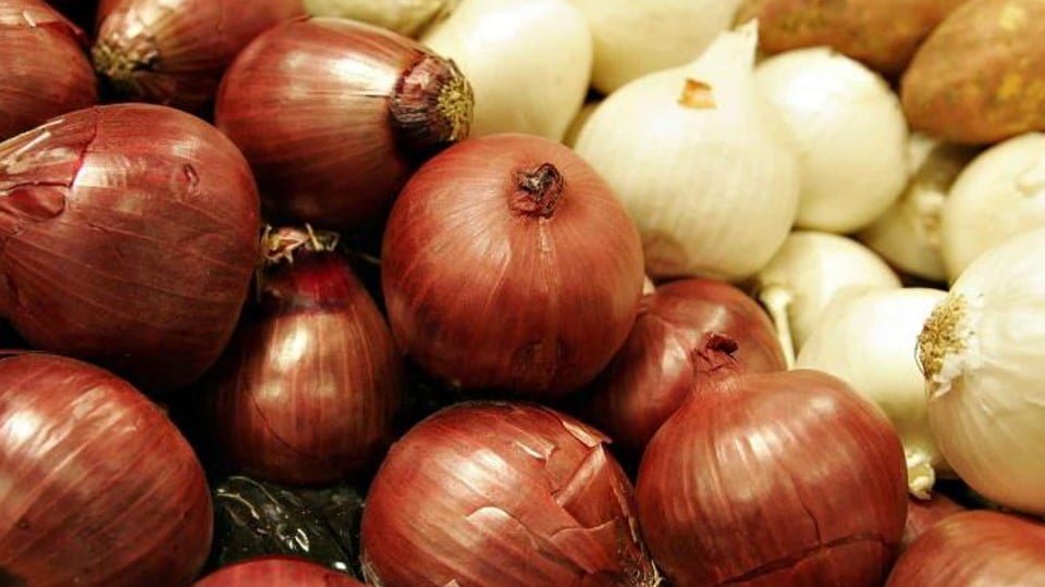 Brote de salmonelosis en 37 estados alerta Estados Unidos; está ligado a cebollas mexicanas