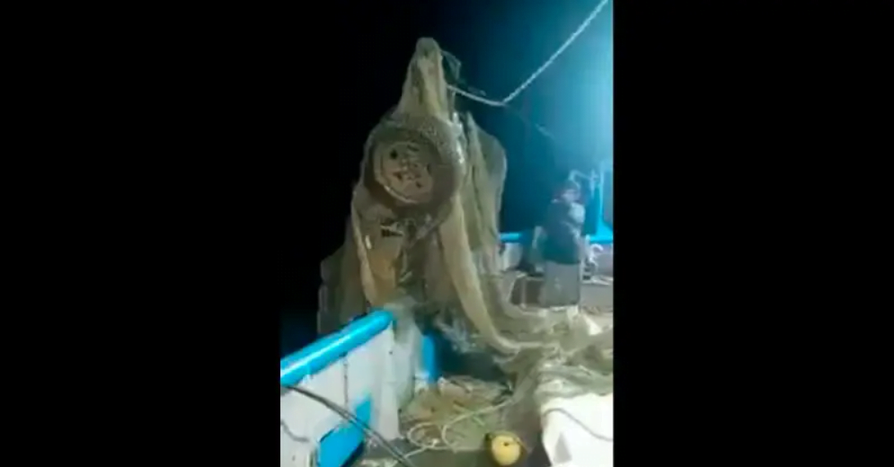 Barco pesca un coche en lugar de camarones