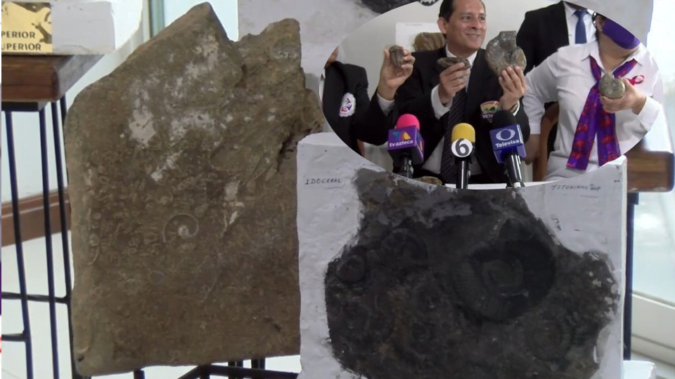 ¿Un mar en Ciudad Victoria? Descubren fósiles marinos en la capital de Tamaulipas