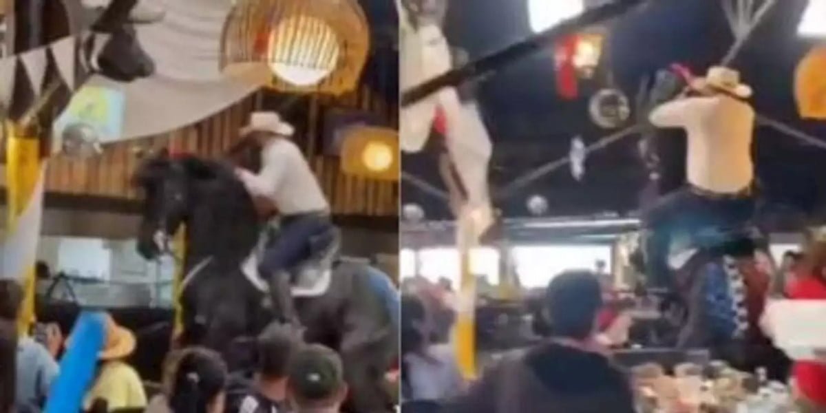 Caída de caballo en pleno show causa pánico