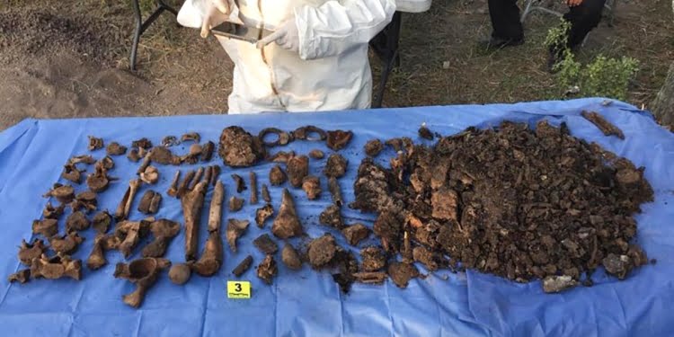 Hallan hasta 2 kilos de restos humanos al día en La Bartolina