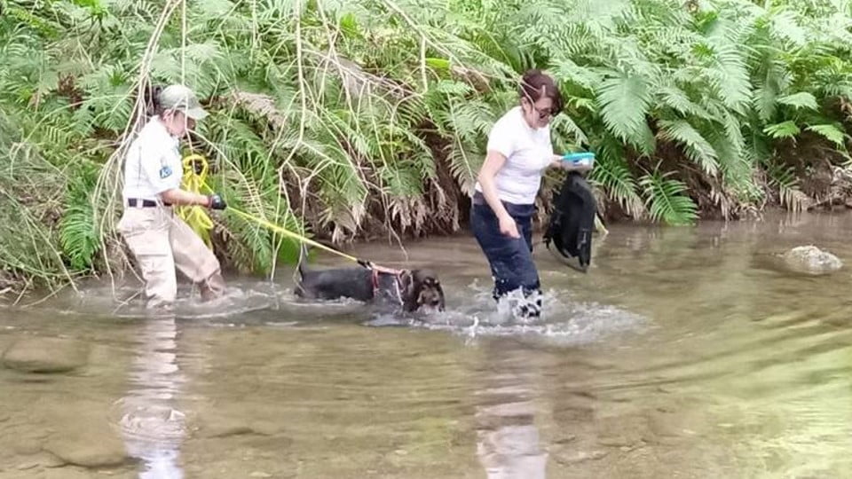 Encuentran más restos humanos en campo de exterminio en Nuevo Laredo