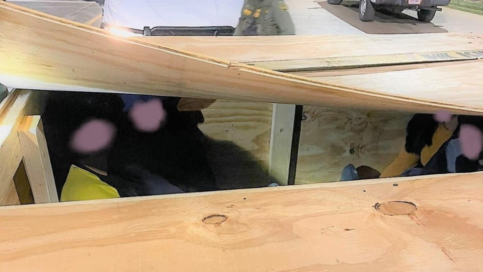 Perro policía detecta 30 ilegales en Laredo, iban dentro de cajas de madera