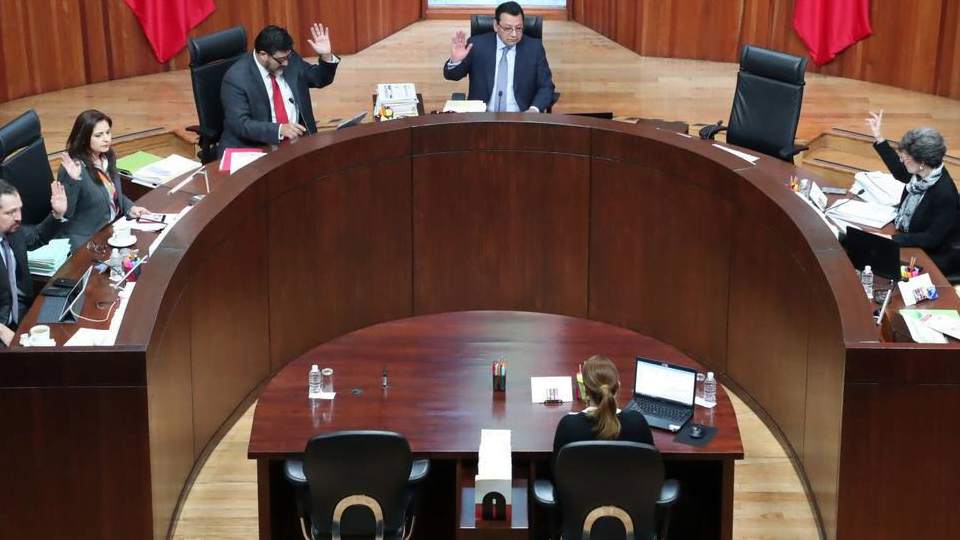Presidente no puede pronunciarse sobre revocación de mandato, determina el Tribunal Electoral