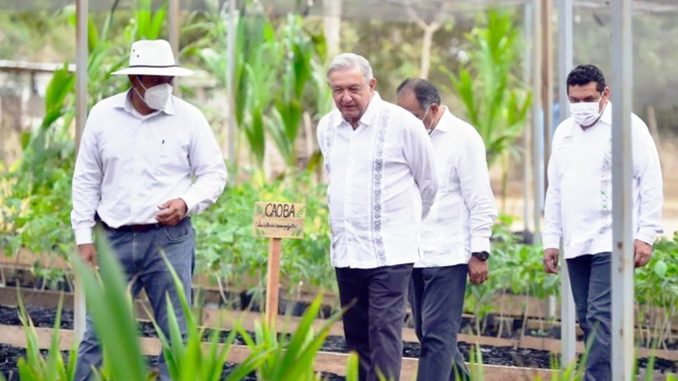 López Obrador niega que sus hijos se beneficien de Sembrando Vida