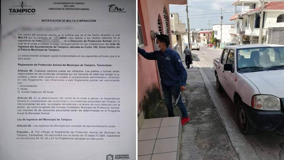 Por descuidado, multan a propietario de mascota en Tampico; el perrito sufrió lesión en un ojo
