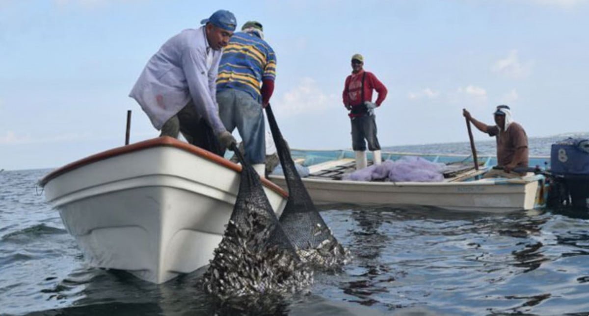 Tras recorte federal, pescadores buscan audiencia con diputados