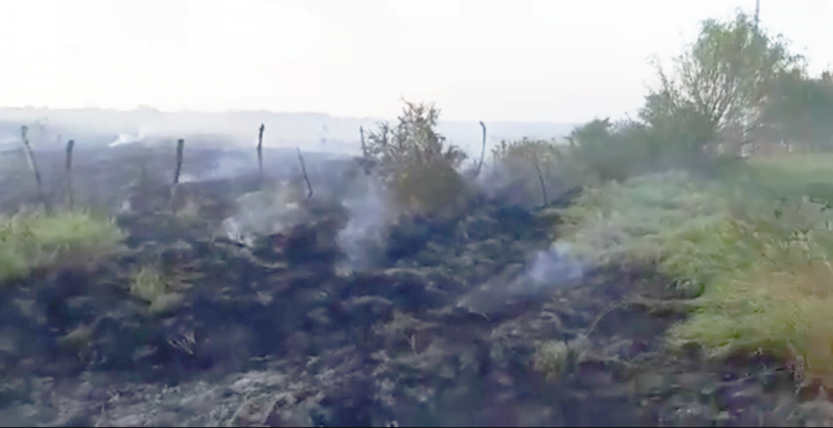 Fuego consume 6 hectáreas en Díaz Ordaz