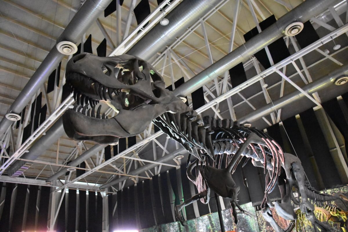 Tras inauguración, invitan a visitar la exposición “Tierra de Dinosaurios” en Tampico