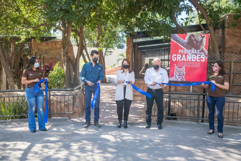 Inaugura Zoológico Tamatán recinto de pequeñas grandes especies