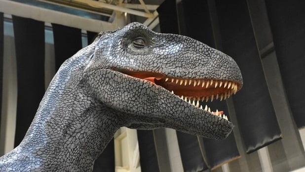 Llega museo de dinosaurios en Tampico estos son los protocolos, modo de acceso y recorrido