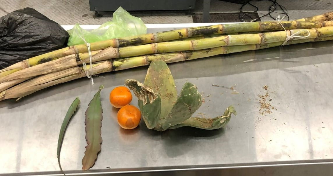 Anuncian multas por llevar frutas para ponche a Estados Unidos