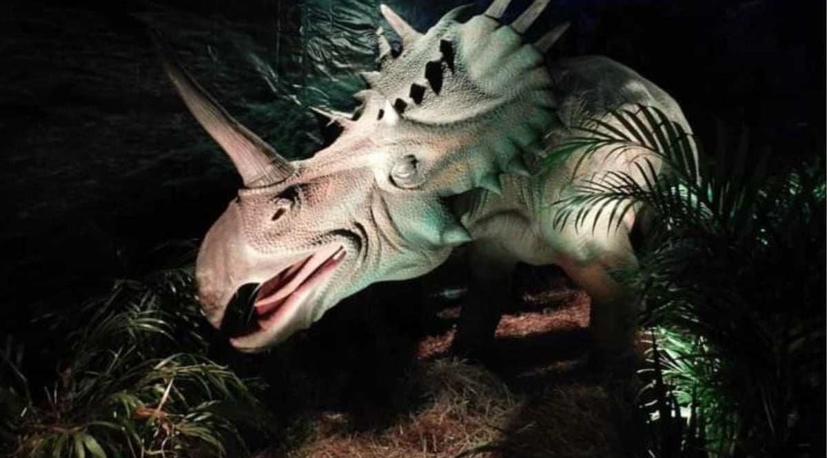 Tierra de Dinosaurios, otro atractivo más en Tampico para esta temporada decembrina