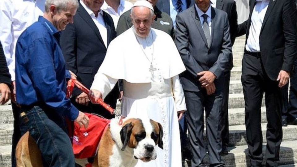 Asegura el papa Francisco que mascotas ocupan el puesto de los hijos y nos quita humanidad